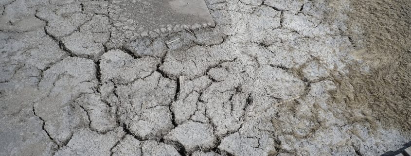 Scorched soil from a toxic brine spill located in a floodplain in Bottineau County, North Dakota. Photo by David Nix 2015